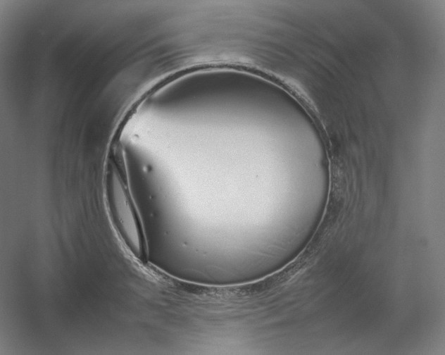 X0000054390895200508121630