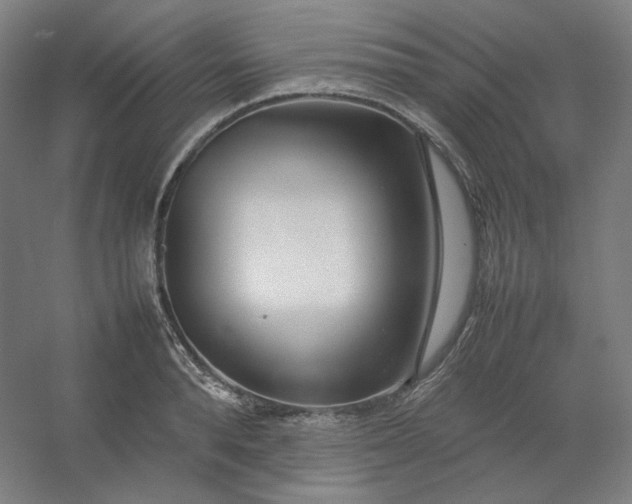 X0000054390896200508121629