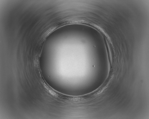 X0000054390897200508121629