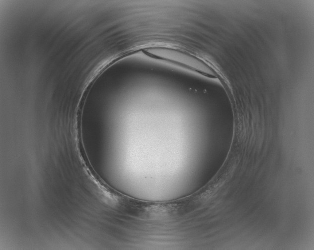 X0000054390898200508121629