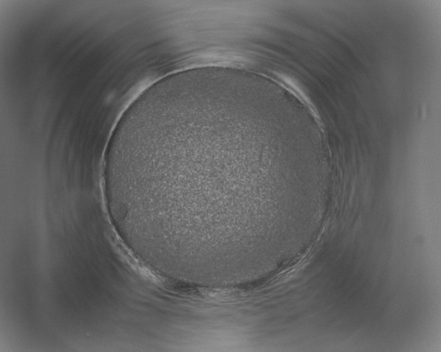 X0000054390899200508121629