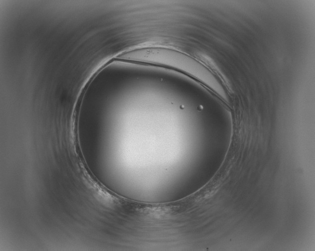 X0000054390900200508121629