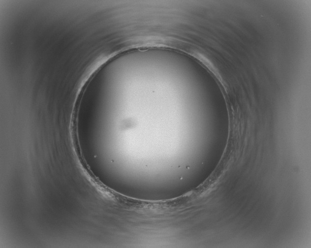 X0000054390901200508121629