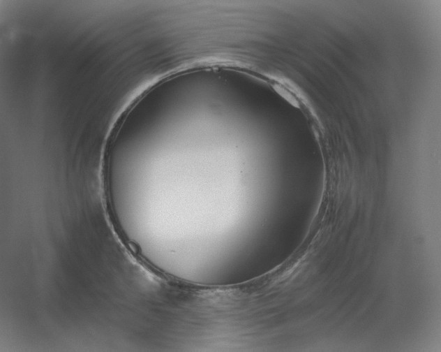 X0000054390902200508121629