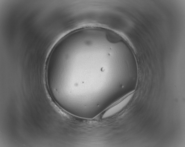 X0000054390903200508121629