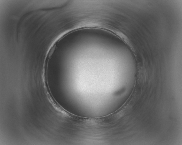 X0000054390904200508121629