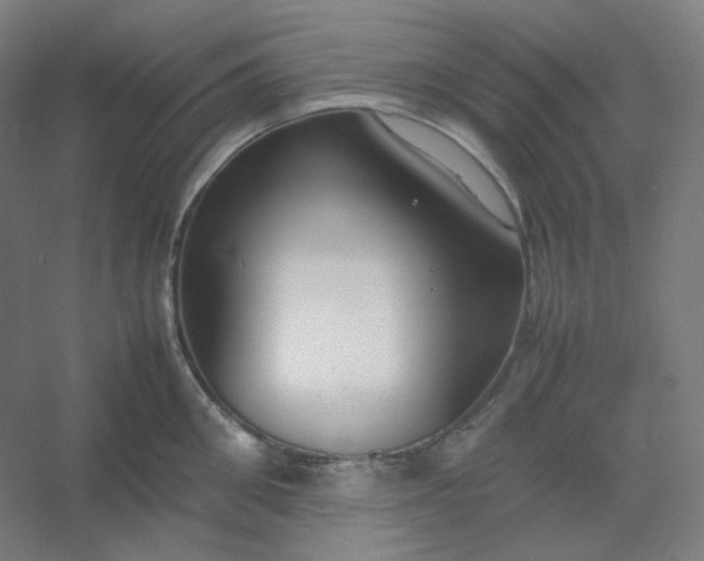 X0000054390906200508121629