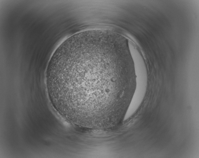 X0000054390907200508121629