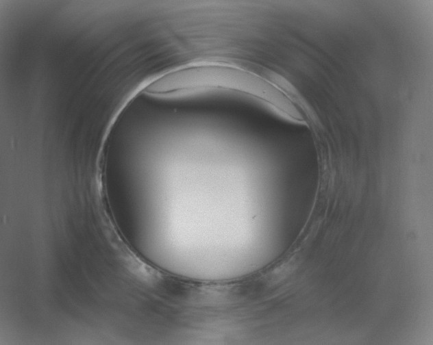 X0000054390908200508121629