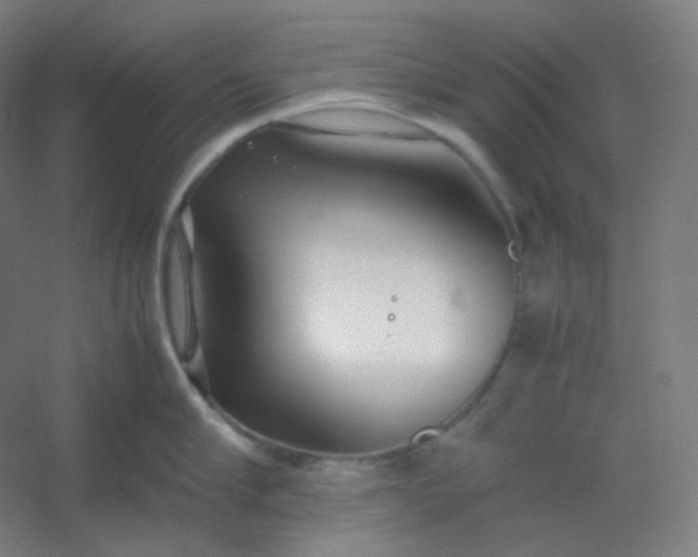 X0000054390910200508121629