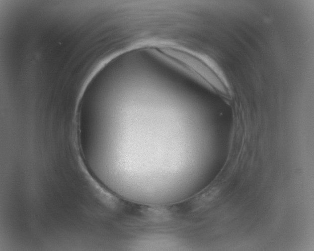 X0000054390911200508121629