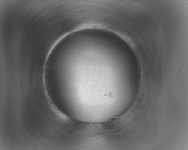 X0000054390912200508121629