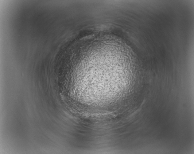 X0000054390913200508121628