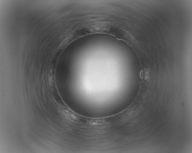 X0000054390915200508121628