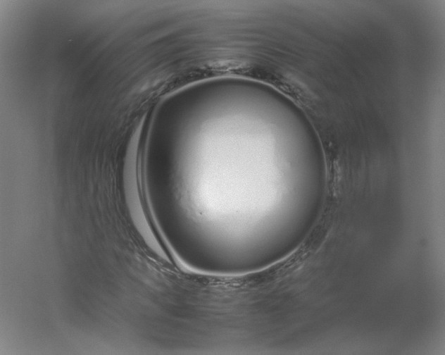 X0000054390917200508121628