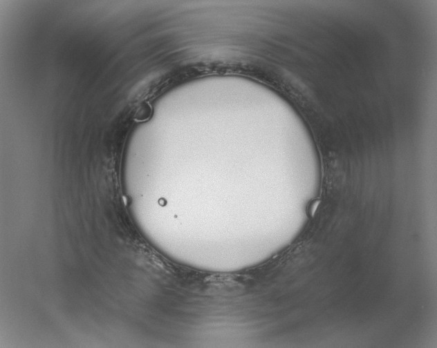 X0000054390918200508121628