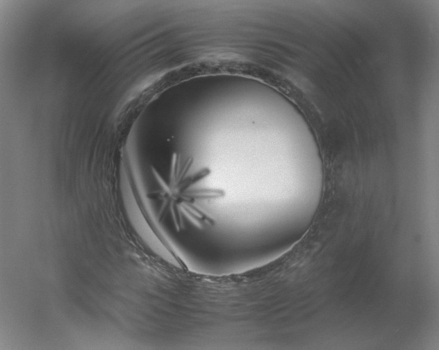 X0000054390919200508121628