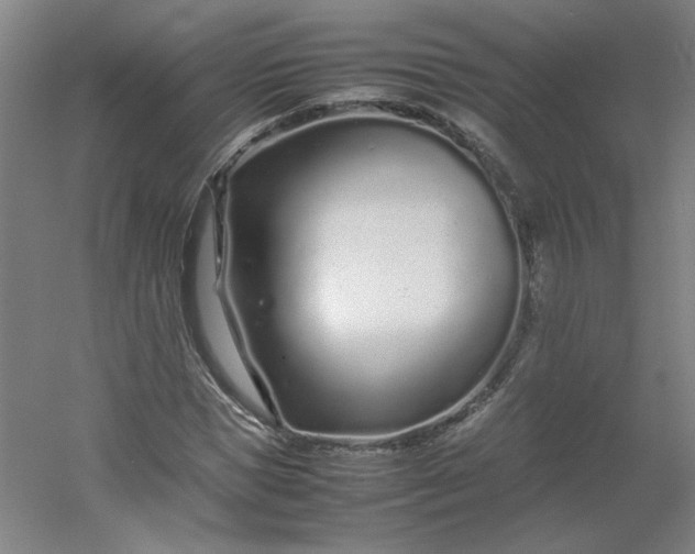 X0000054390921200508121629