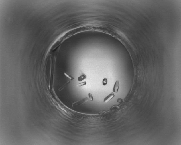 X0000054390923200508121629