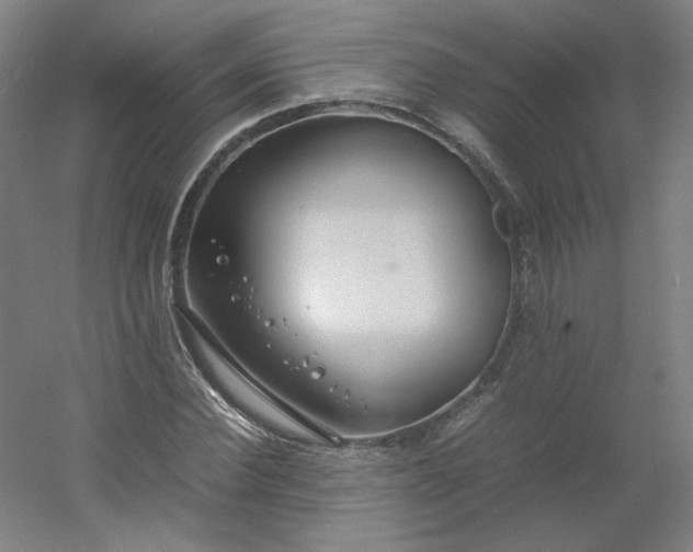 X0000054390924200508121629