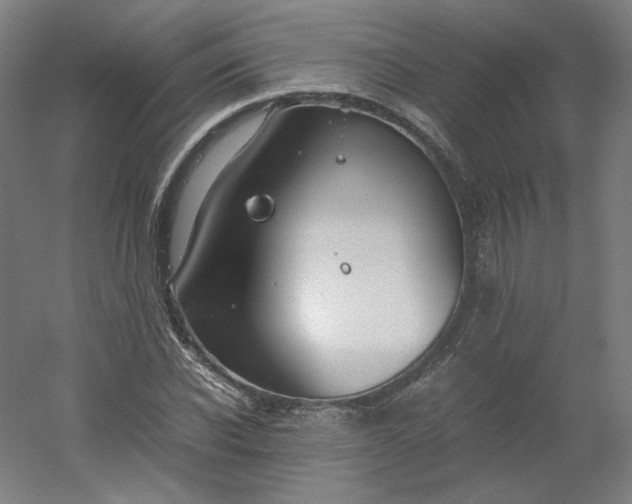 X0000054390926200508121629