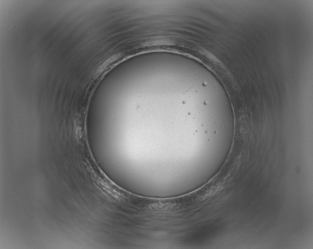 X0000054390929200508121629