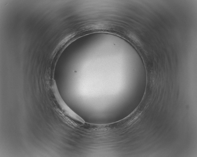 X0000054390930200508121629