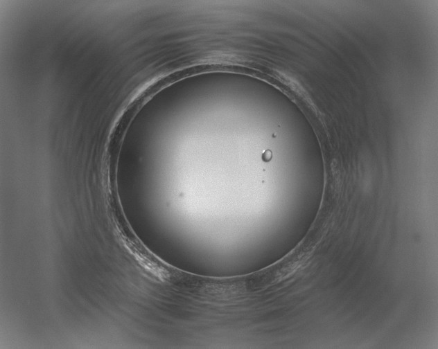 X0000054390931200508121629