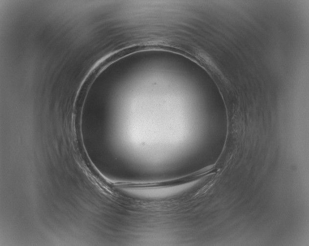 X0000054390932200508121629