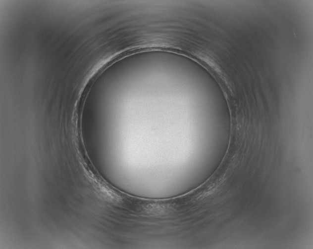 X0000054390933200508121629