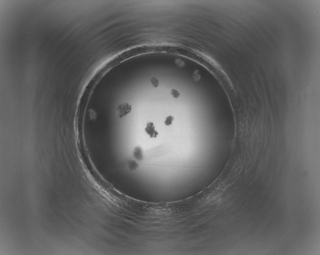 X0000054390935200508121629