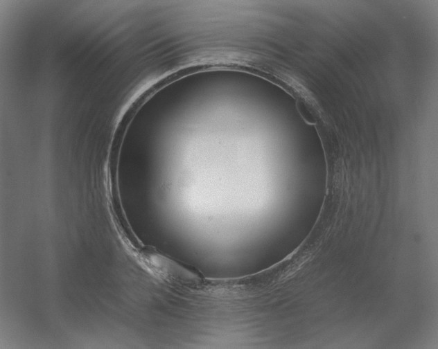 X0000054390936200508121629