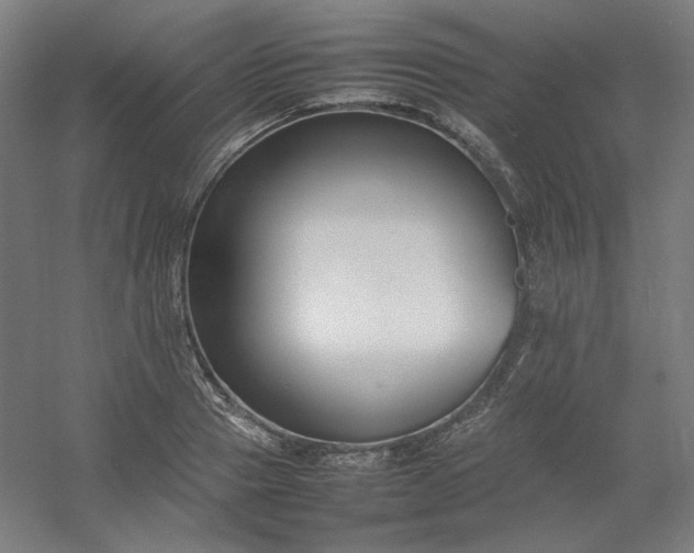 X0000054390937200508121629