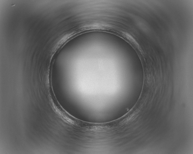 X0000054390938200508121629