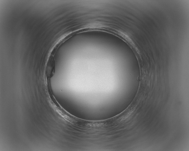 X0000054390939200508121629