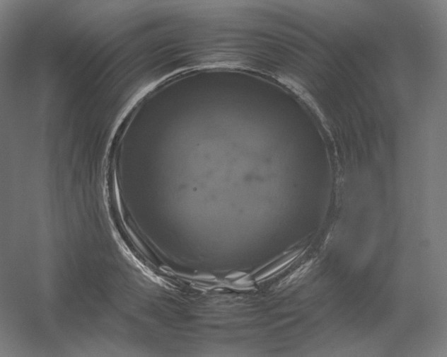 X0000054390941200508121629