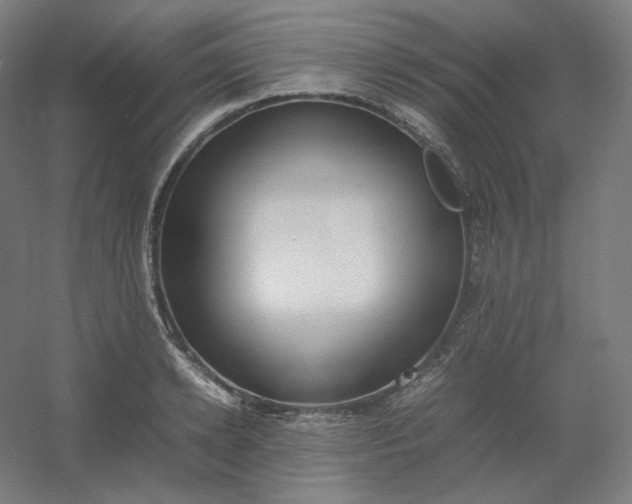 X0000054390942200508121629