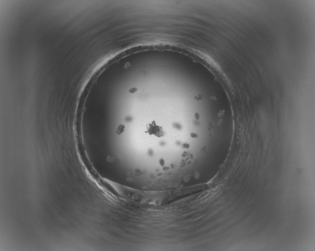 X0000054390943200508121629