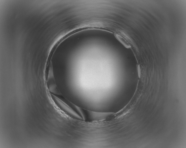 X0000054390944200508121629