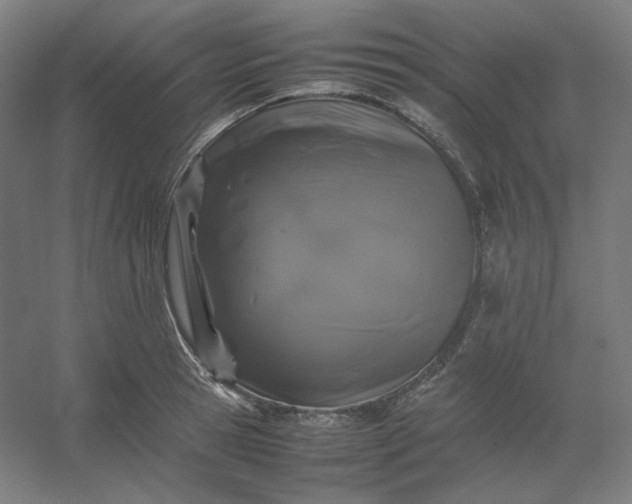 X0000054390945200508121629