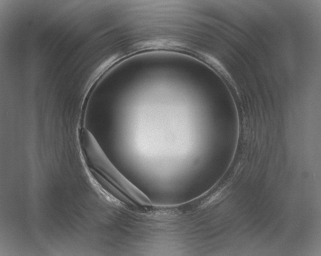 X0000054390946200508121629