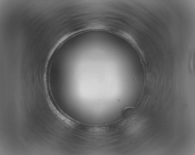 X0000054390947200508121629