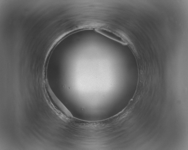 X0000054390948200508121629