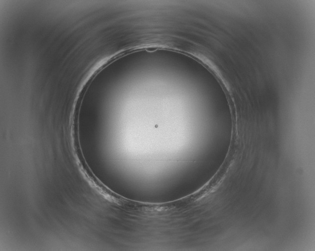 X0000054390949200508121629