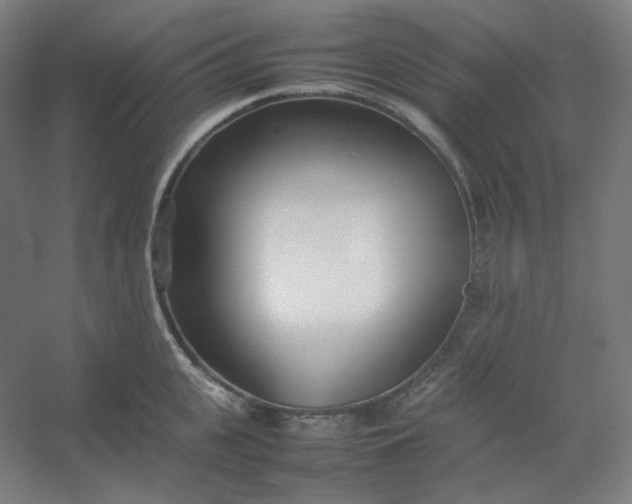 X0000054390951200508121629