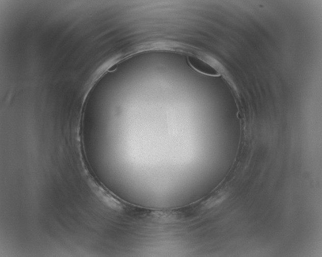 X0000054390954200508121629