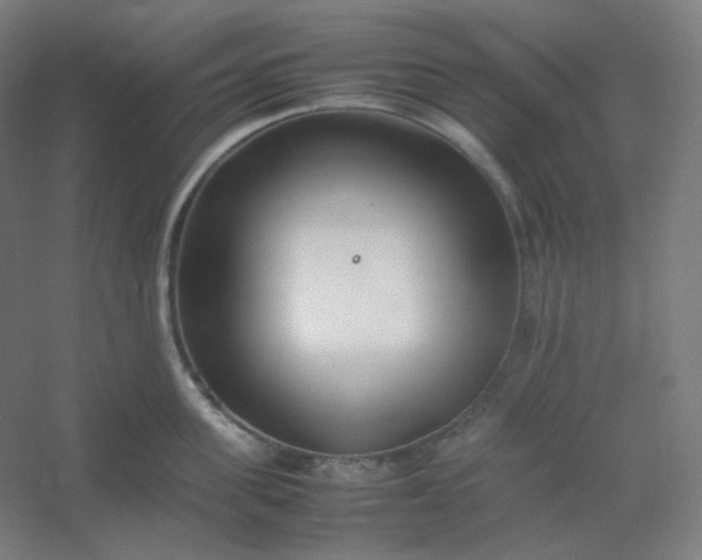 X0000054390955200508121629