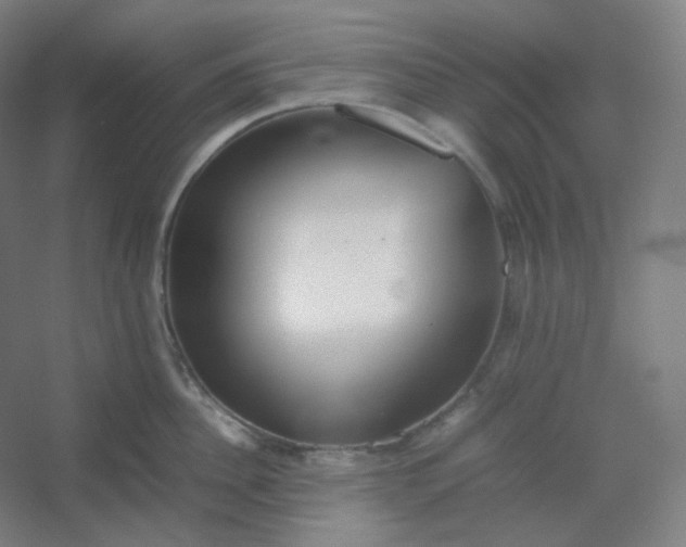 X0000054390956200508121629