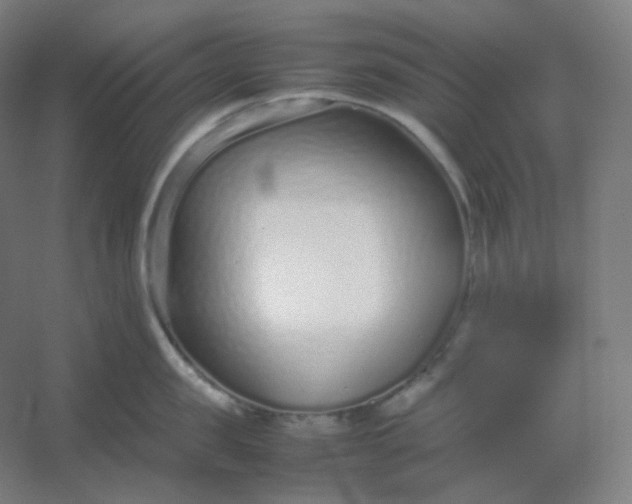 X0000054390957200508121629