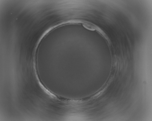 X0000054390958200508121629